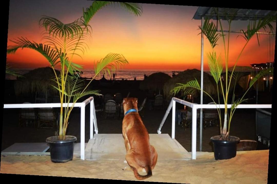Baywatch Beach Resort Patnem カナコナ エクステリア 写真